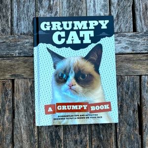 Grumpy cat book